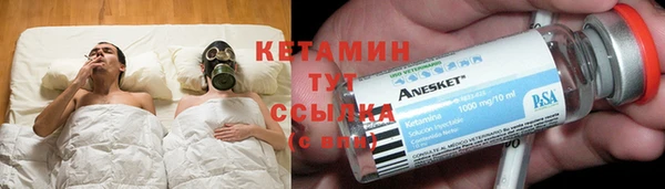 сатива Новодвинск
