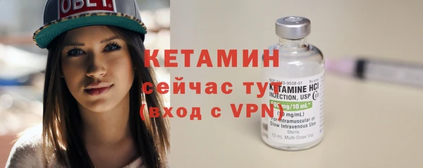 сатива Новодвинск