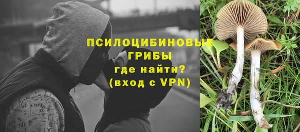 эйфоретик Новокубанск