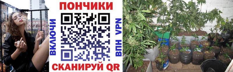 Шишки марихуана MAZAR  магазин продажи   Староминская 